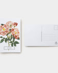 ROSES: 100 POSTCARDS FROM THE ARCHIVES OF THE NEW YORK BOTANICAL GARDEN