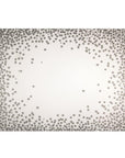 JOGO AMERICANO DE PAPEL OFFSET REVESTIDO IMPERMEÁVEL FIESTA - 6 UNIDADES PRATA 47X36 CM