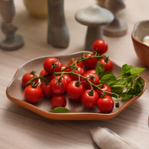 PETISQUEIRA ORGANICA CERÂMICA TERRA