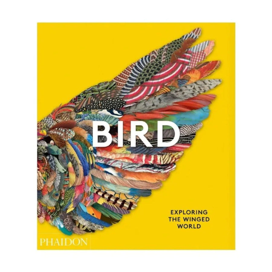 BIRD: EXPLORING THE WINGED WORLD